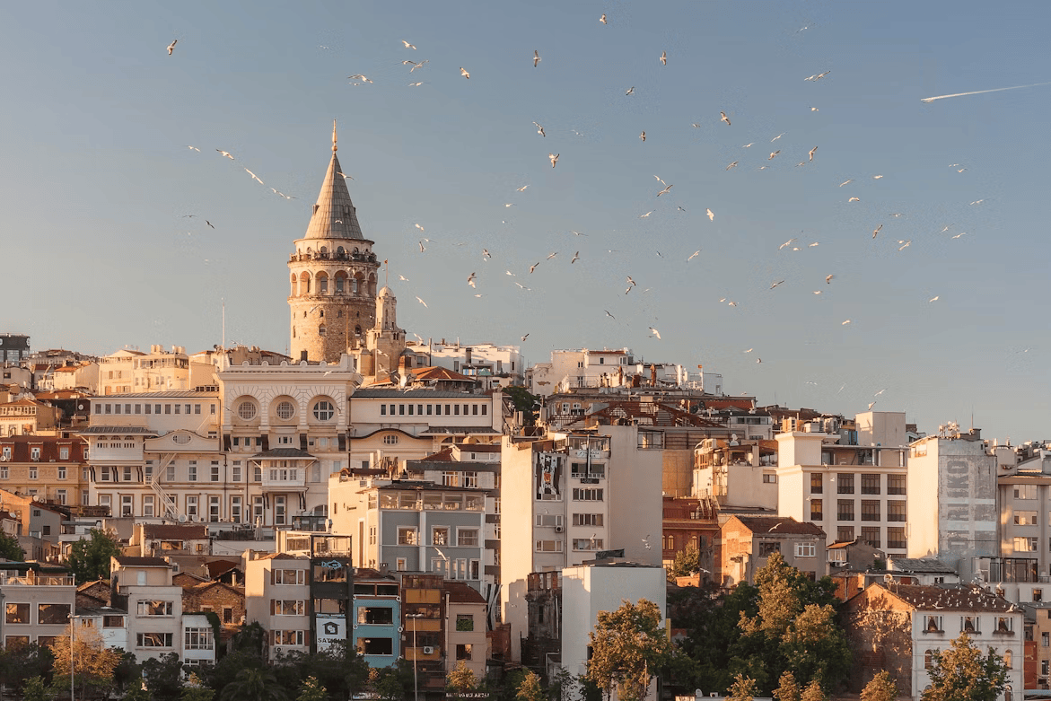 Istanbul Flight